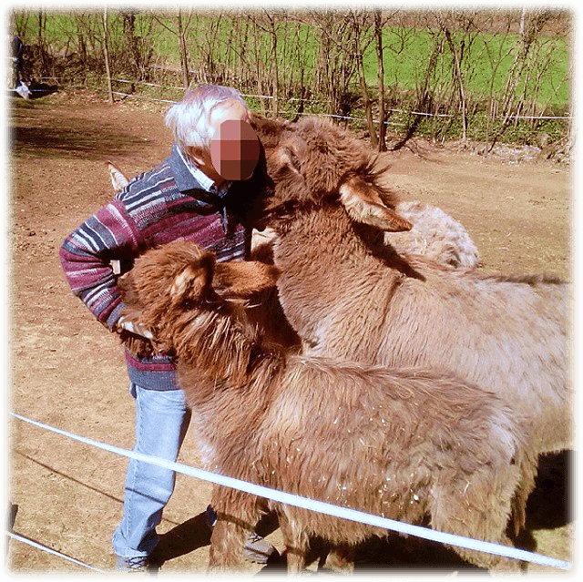 Coccole Farm - Adotta un asinello