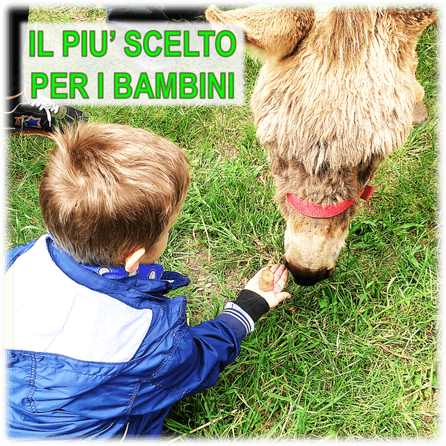 Coccole Family - Adotta un asinello