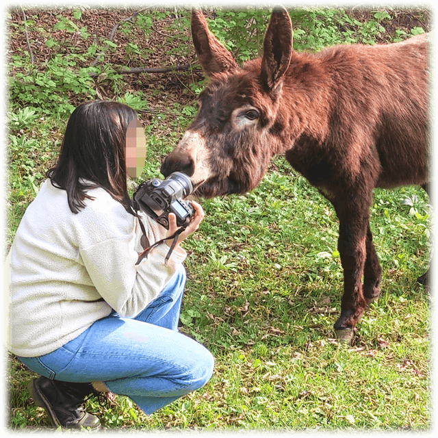 Coccole Love - Adotta un asinello