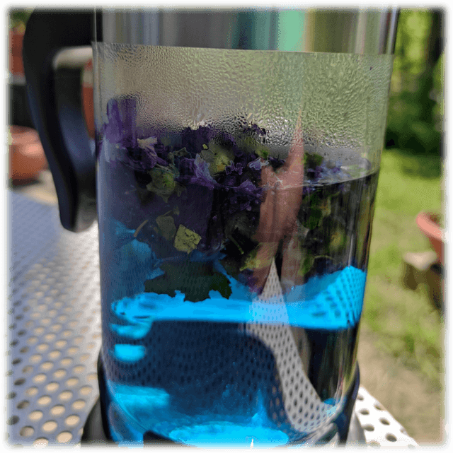 Infusi monospecie